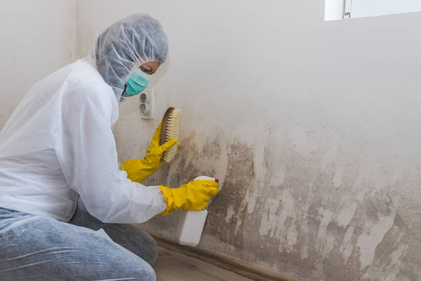 Crawl Space Mold Removal in South Duxbury, MA