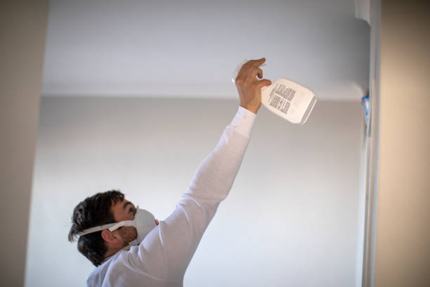 Mold Removal Process in South Duxbury, MA