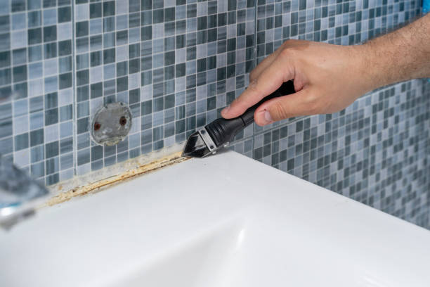 Best Office Mold Removal Services  in South Duxbury, MA